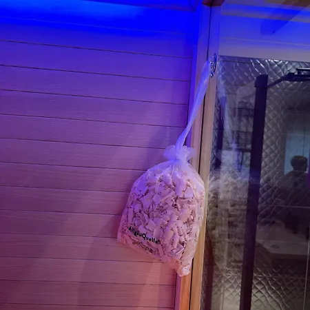 Neue Moderne Mit Infrarot Sauna Lägenhet Hengersberg